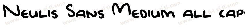 Neulis Sans Medium all caps字体转换